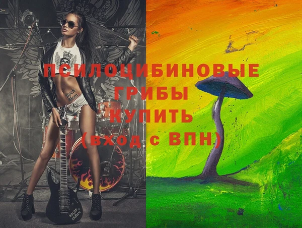 молекула духа Волосово