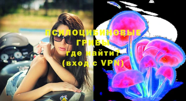 молекула духа Волосово