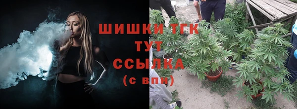 молекула духа Волосово