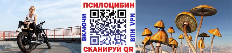 Купить где  Осинники  Псилоцибиновые грибы GOLDEN TEACHER 